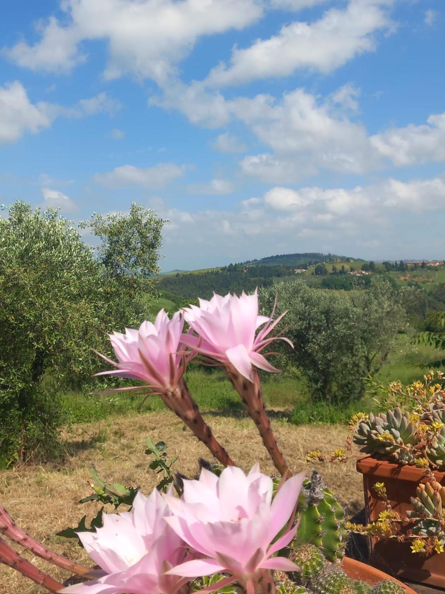 Chianti Art Room Поджибонси Экстерьер фото