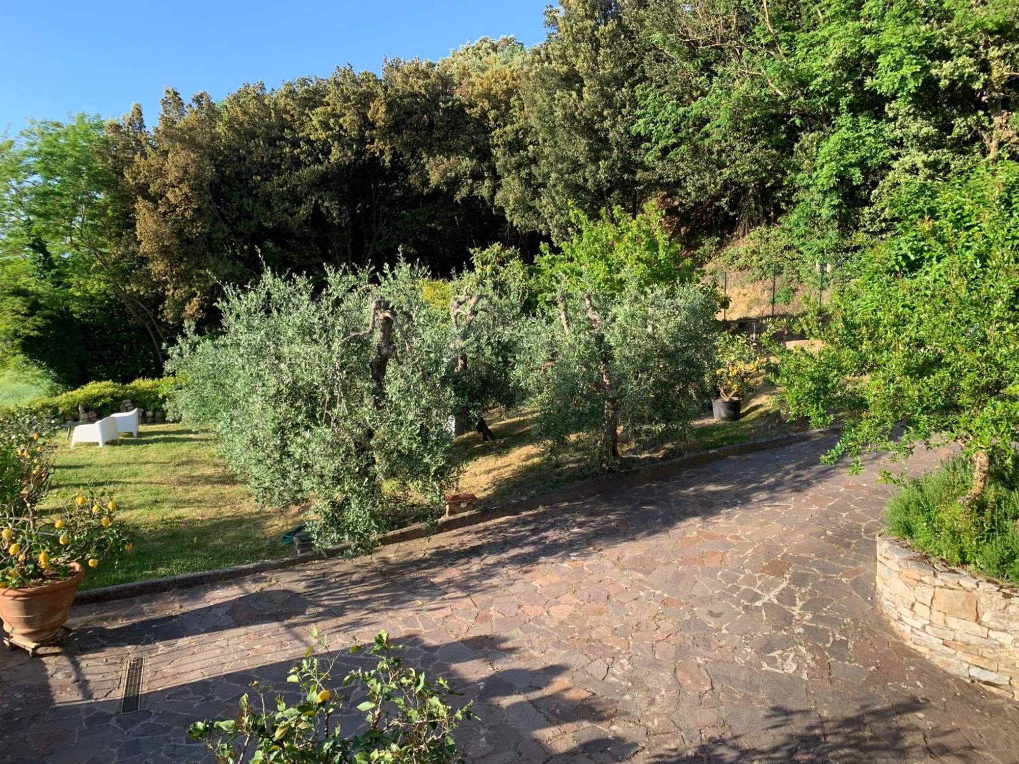 Chianti Art Room Поджибонси Экстерьер фото